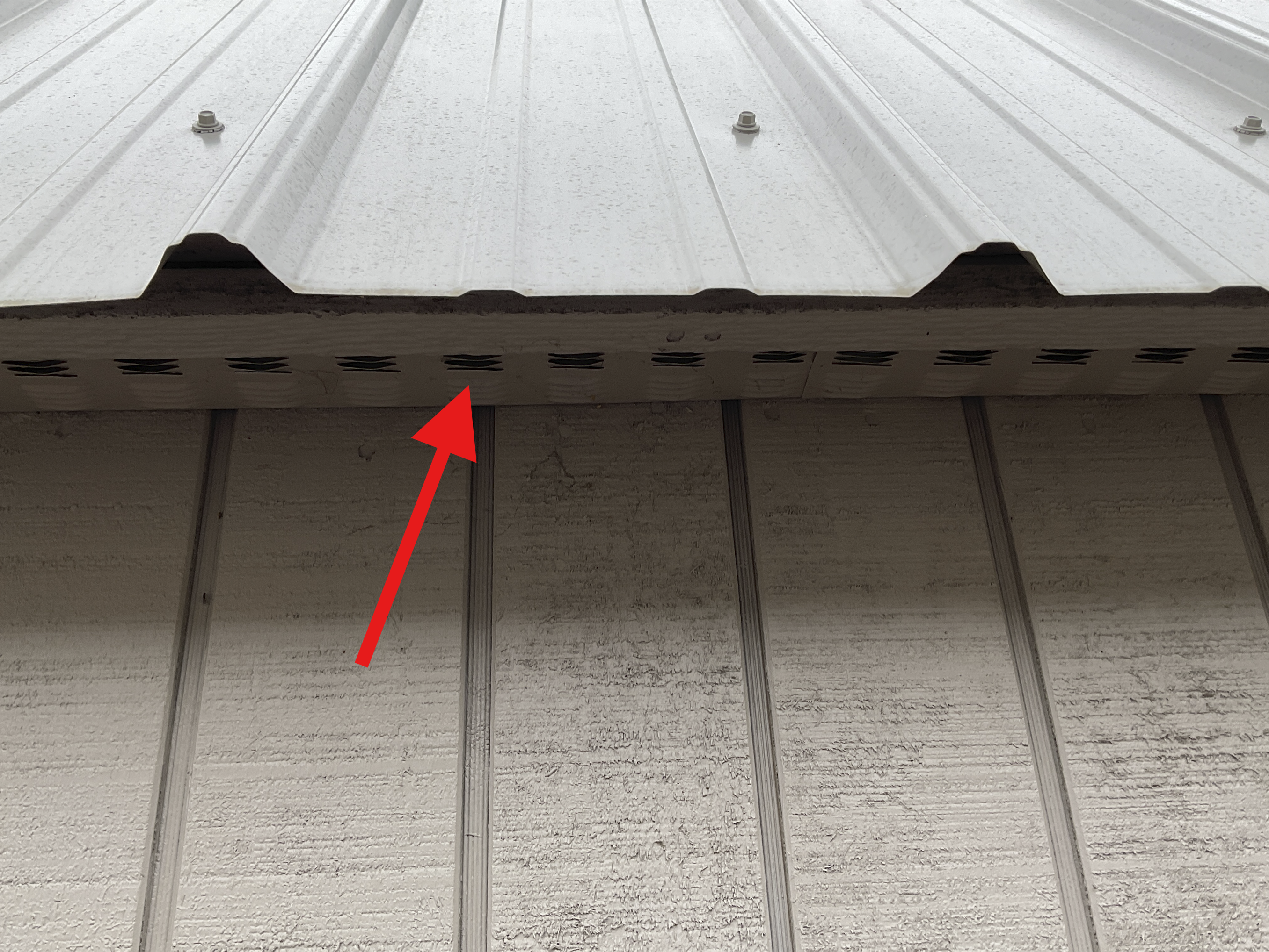 Which Portable Building Brand Should I Buy?