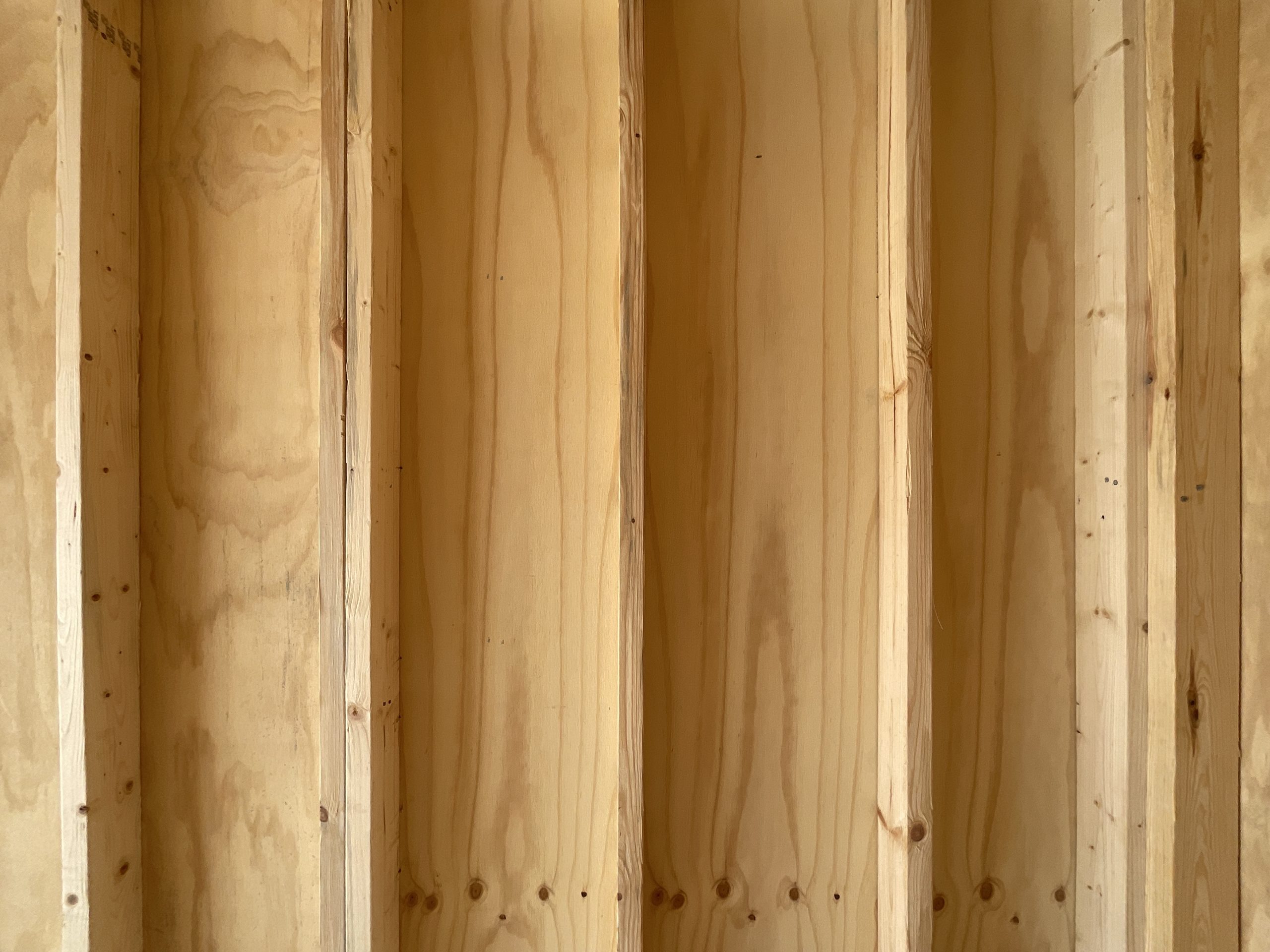 Interior wall framing with studs inside portable building
