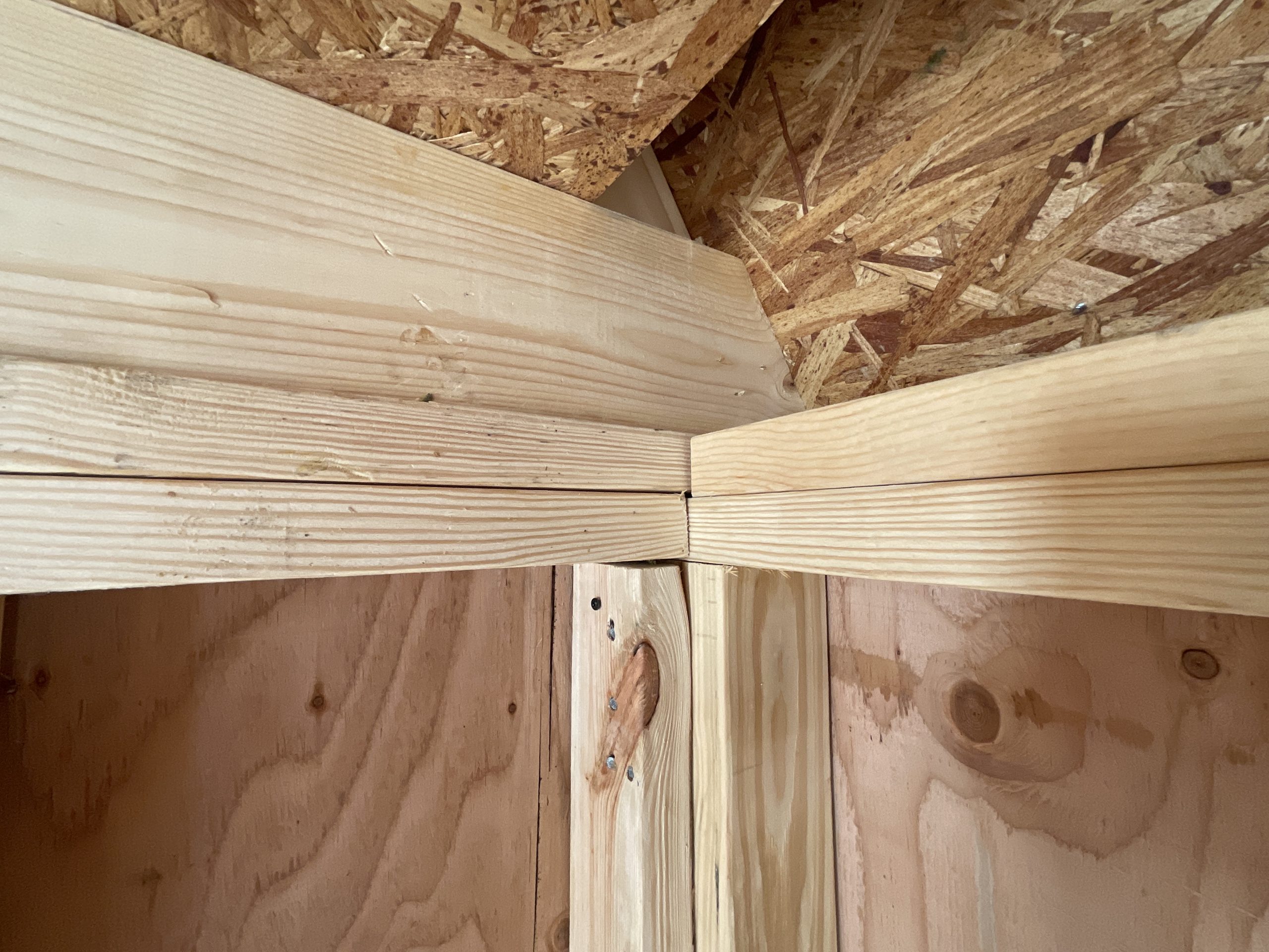 Double top plate interlocking framing in lofted barn house shell Hammond LA
