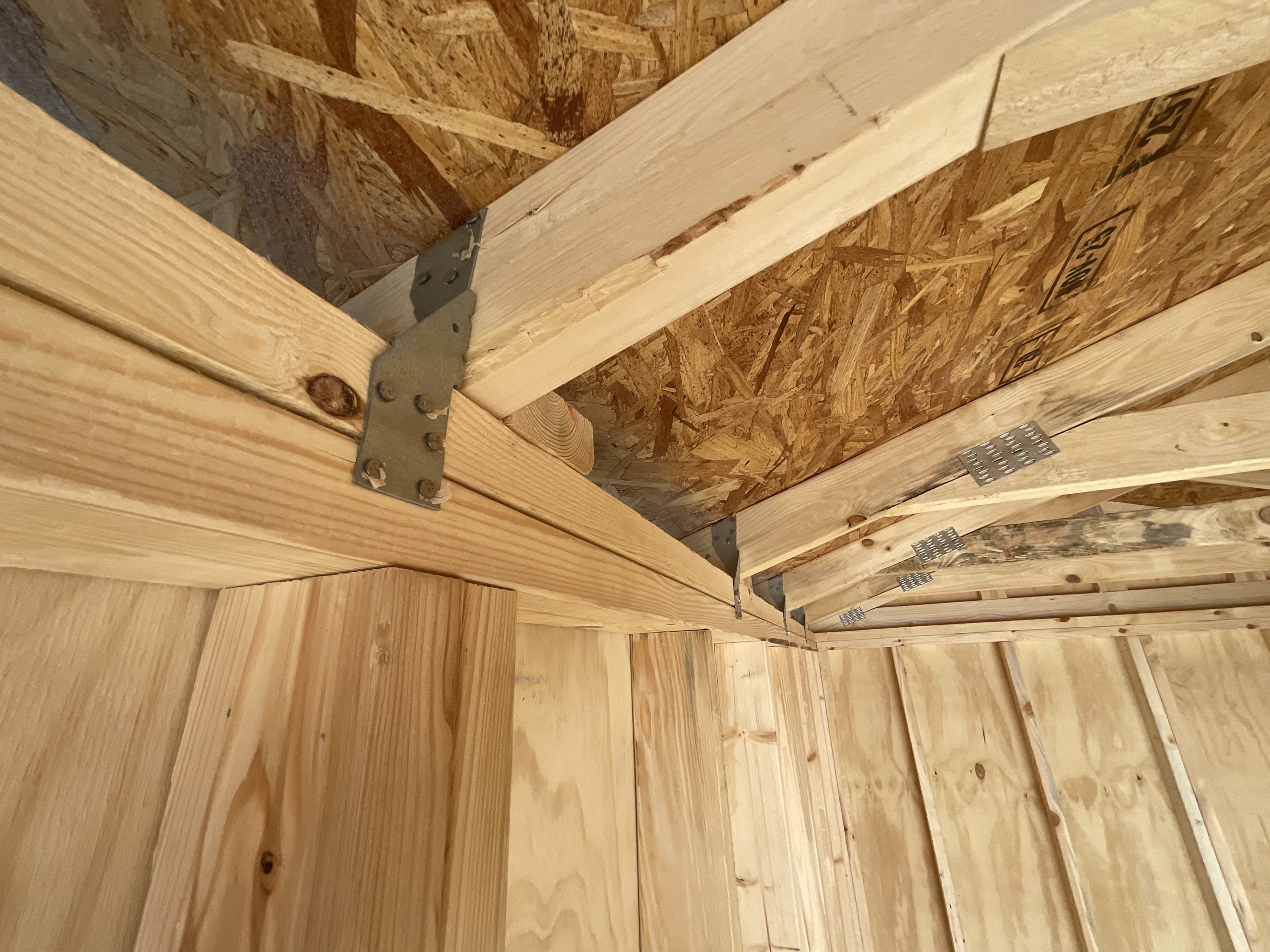8x12 garden shed portable building for sale hammond la IMG 3450 scaled