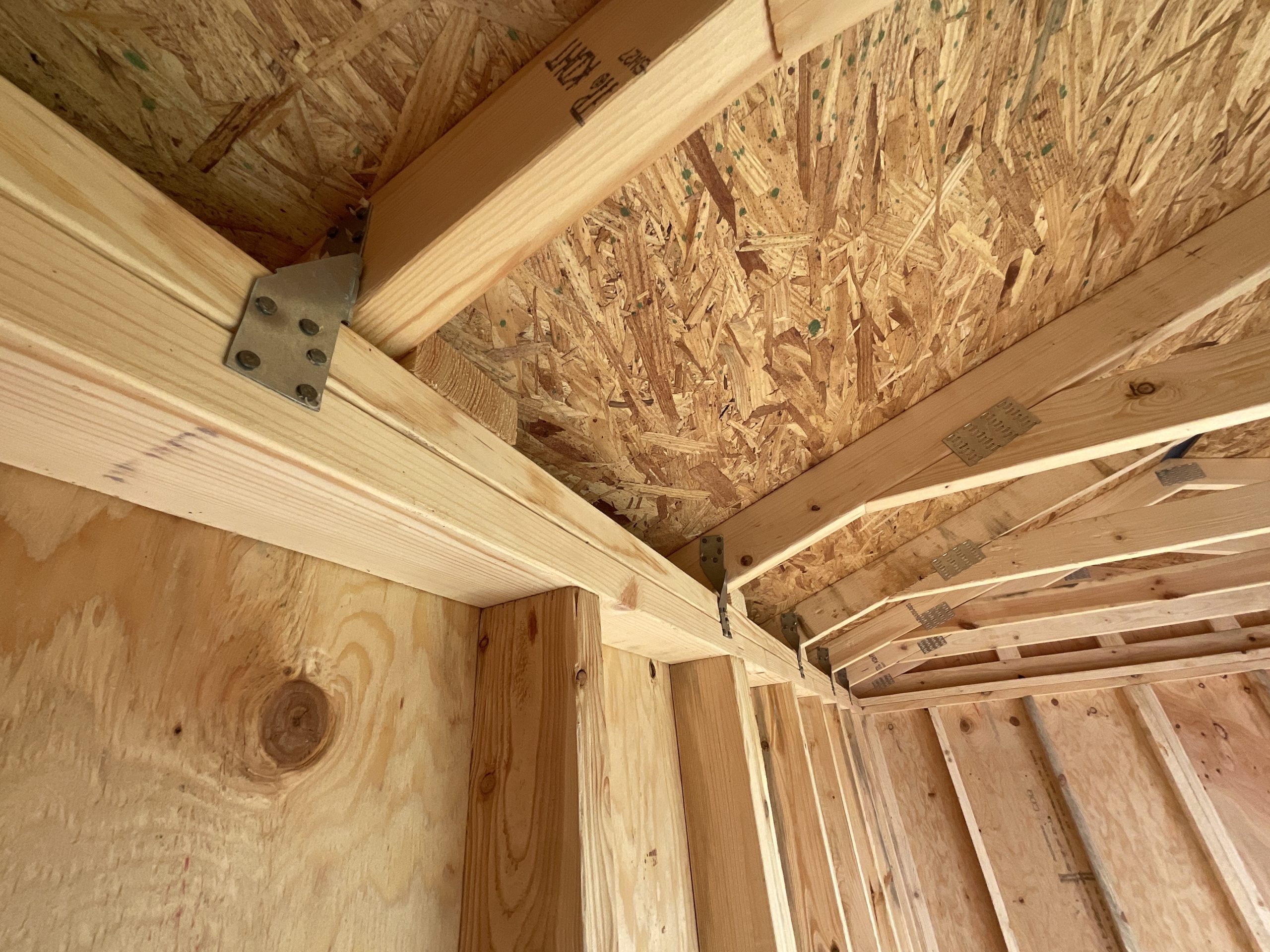 Interior framing detail showing hurricane clips and double top plates inside engineered garden shed