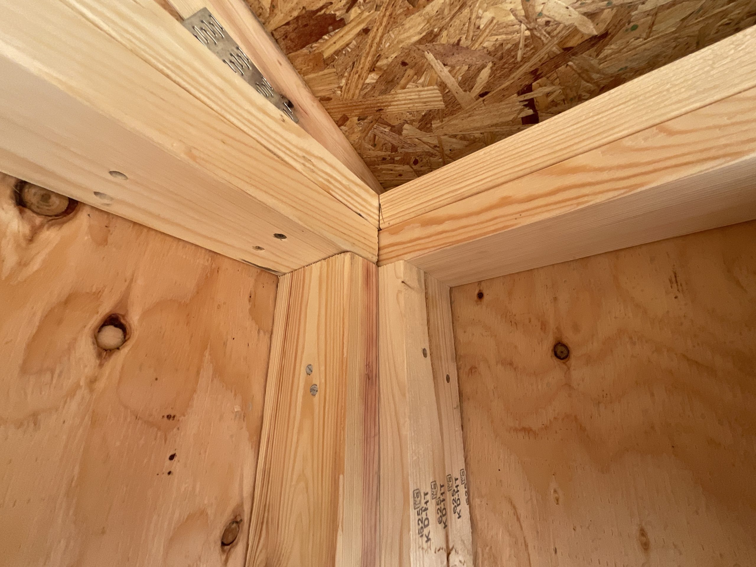 Interior corner framing showing interlocking double top plates inside portable storage shed