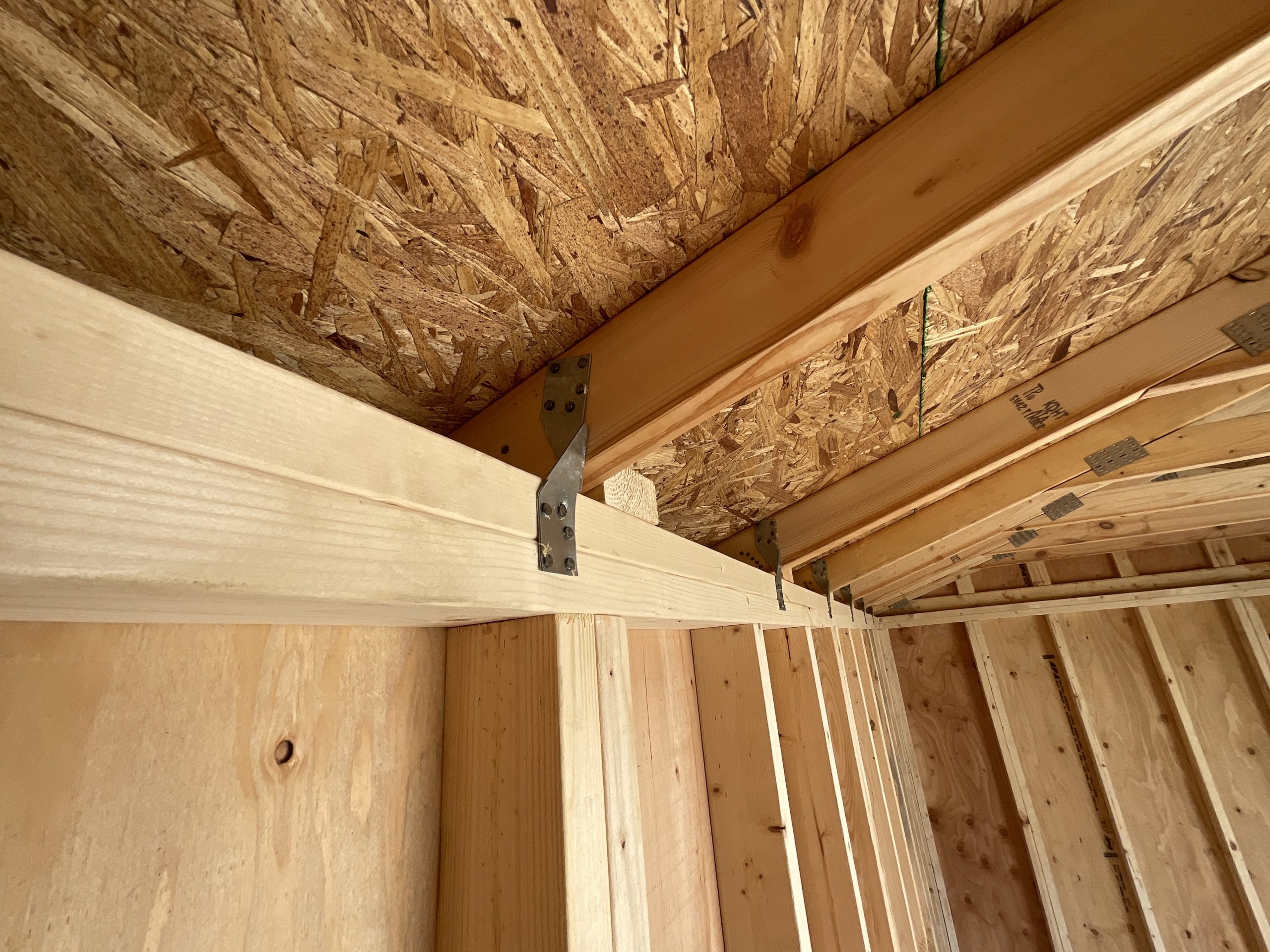 Hurricane clips and double top plates inside DANCO Garden Shed