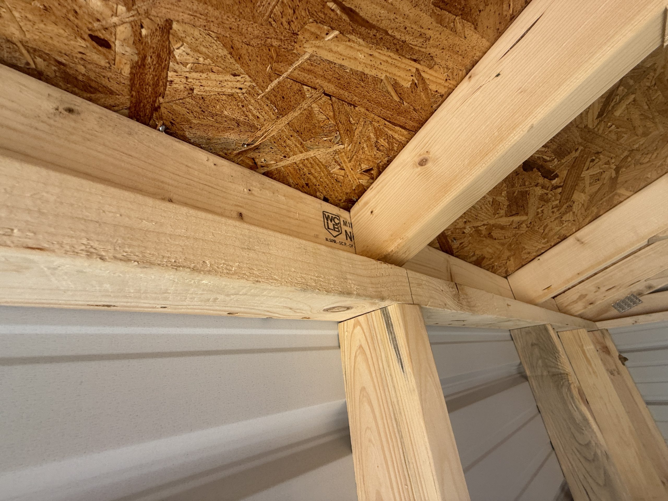 Close up of Utility Shed roof truss connected at top plate with strong back roof bracing